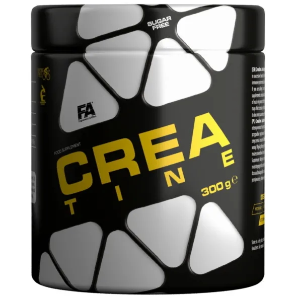 FITNESS AUTHORITY Creatine 300 g