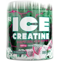FITNESS AUTHORITY Ice Creatine 300 g