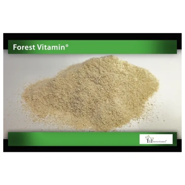 FOREST VITAMIN Błonnik Ziemniaczany 300g