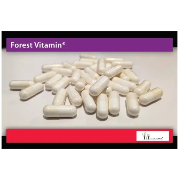 FOREST VITAMIN Ca AKG 500 mg 60 kaps