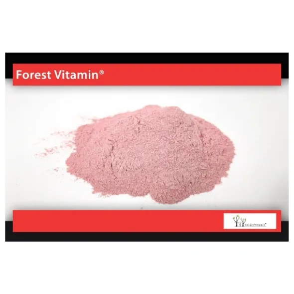 FOREST VITAMIN Dzika Róża 250g