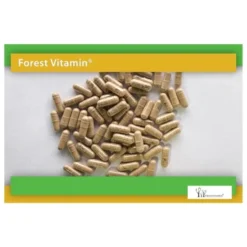 FOREST VITAMIN Żeń-Szeń 200mg+ Miłorząb90mg 60 kaps