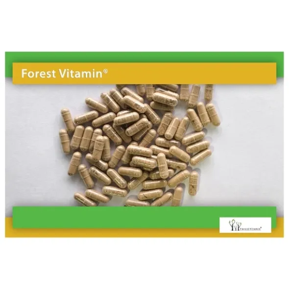 FOREST VITAMIN Żeń-Szeń 200mg+ Miłorząb90mg 60 kaps