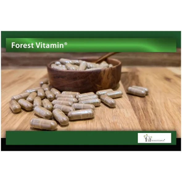 FOREST VITAMIN Gotu Kola 500 mg 100 kaps