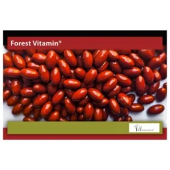 FOREST VITAMIN Koenzym Q10 100mg 100 kaps