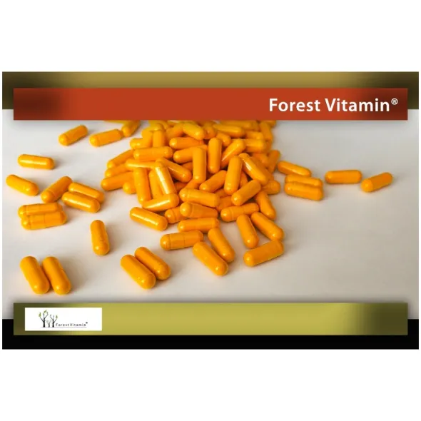 FOREST VITAMIN Kurkuma Imbir Czosnek Czarny Pieprz 60 szt