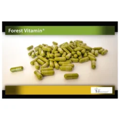 FOREST VITAMIN Matcha 500 mg 60 kaps