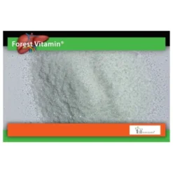FOREST VITAMIN NAC 300 g