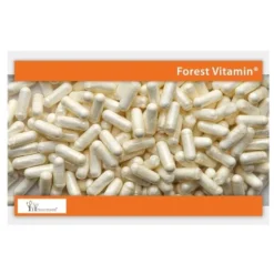 FOREST VITAMIN NAC 200 mg 100 kaps
