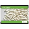 FOREST VITAMIN NADH 10 mg 100 kaps