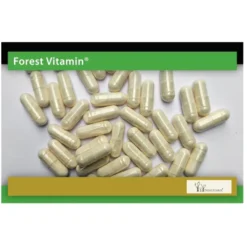 FOREST VITAMIN Ocet Jabłkowy 500mg 60 kaps