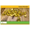 FOREST VITAMIN Omega 3 Vegan 60 kaps