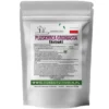 FOREST VITAMIN Pluskwica Groniasta 300mg 60 kaps