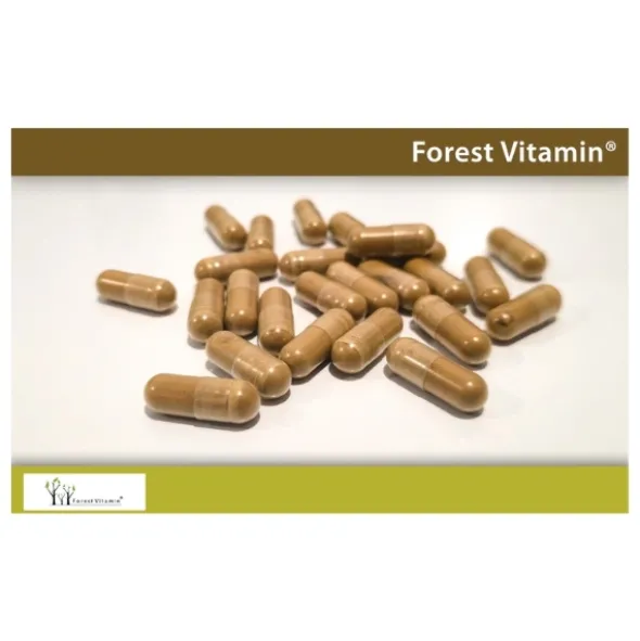 FOREST VITAMIN REISHI 500mg 60 kaps