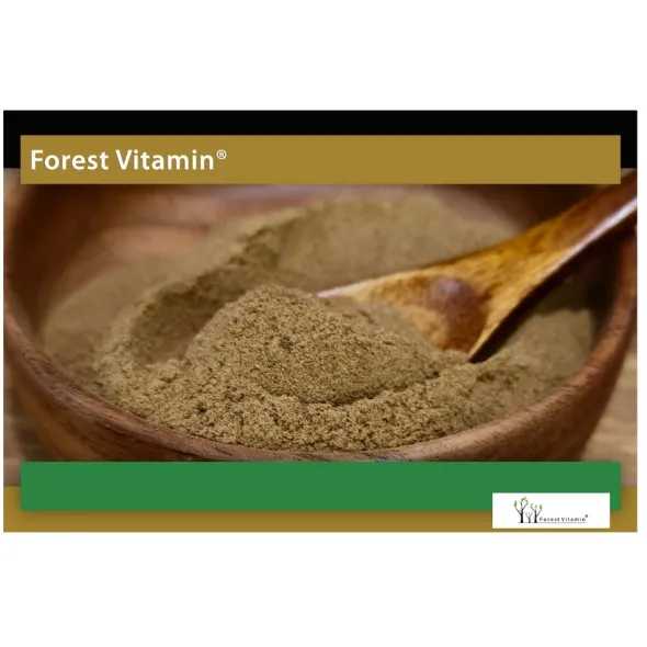 FOREST VITAMIN Soplówka Jeżowata 50 g