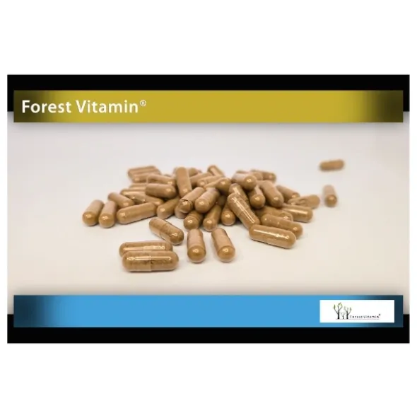 FOREST VITAMIN Soplówka Jeżowata Premium 400 mg 60 kaps