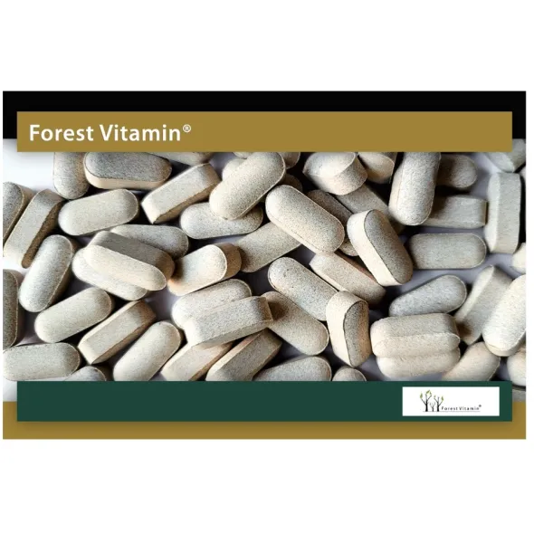 FOREST VITAMIN Tribulus 210mg 95% Saponiny 60 tabs