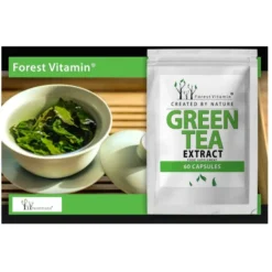 FOREST VITAMIN Zielona Herbata 95% 500mg (ekstrakt Camelia sinensis) 60 kaps