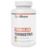 GYMBEAM Tribulus Terrestris 120 tabs