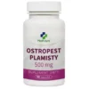 MEDFUTURE Ostropest Plamisty 500 mg 60 kaps