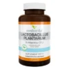 MEDVERITA Lactobacillus Plantarum 5 mld CFU 60 kaps