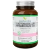MEDVERITA Lactobacillus Rhamnosus GG 5mld CFU 60 kaps
