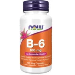 NOW FOODS Witamina B6 B-6 100mg 100 vkaps
