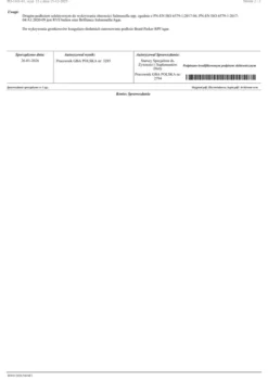 nowmax® Berberis Standardized Extract 500mg 100 kaps