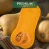 PREMIUM SEEDS Dynia Piżmowa Waltham Butternut Nasiona 3 g