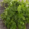 PREMIUM SEEDS Pietruszka Naciowa Gigante D'Italia Nasiona 2 g