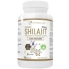 PROGRESS LABS Mumio 400mg Shilajit Ekstrakt 90 kaps
