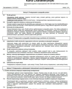 Płyn dezynfekujący do rąk na bazie alkoholu 100 ml