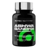SCITEC Ashwagandha 60 caps