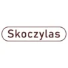 SKOCZYLAS Cynk Miedź Ekstrakt z Zielonej Herbaty (EGCG) 60 kaps