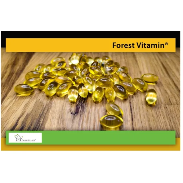2x FOREST VITAMIN Omega 3 Vegan 60 kaps